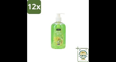 Sence – Handzeep – Splash To Bloom Kiwi – 500 ml - Voordeelverpakking - 12 stuks - Handen hydrateren - Kiwi geur
