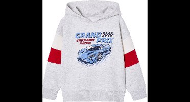 Vertbaudet Sweater met capuchon met print