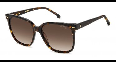 Carrera CARRERA 3002/S Havana 55/16/140 WOMAN Zonnebrillen