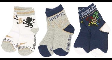 Harry Potter kindersokken 23/26
