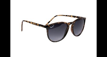 Haga Eyewear Zonnebril Alcudia - Havana Bruin Glanzend - Donkergrijze Lenzen - 100% UV-A en UV-B Bescherming - Inclusief Microvezel Pouch