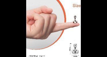 Magnetische - voor Kantoor Whiteboard - set van 12 stuks - Zilver