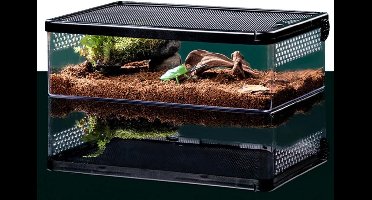 Terrarium - Ecosysteem - Reptielenverblijf - Transparant