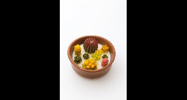 Cactuskaars in Aardewerken Pot – Sandelhout, Muskus & Oudh Geur