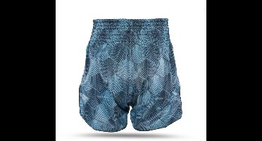 Fairtex x Booster TBT Kickboxing shorts - Stealth 2 - S