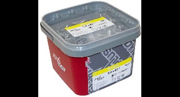 Dynaplus - Unischroeven - Torx 25 platkop - 5 x 80mm/42 - Verzinkt (500 stuks)