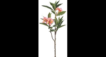 PTMD Plumeria Kunstbloem - 72 x 25 x 110 cm - Kunststof - Roze
