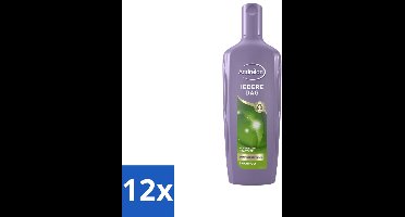 Andrélon - Iedere Dag - Shampoo - 300 ml - Voordeelverpakking - 12 stuks