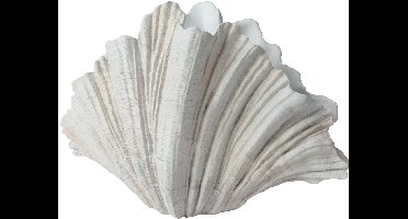 Decoris - Vaas - Grillige bladvorm - Off-white - H36 cm