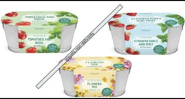 Mijn eerste tuin - SILVERLIT - MIJN TUINIER - TUINWINKEL - Vanaf 3 jaar