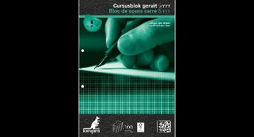 Kangaro cursusblok - A4 - ruit - 5x5mm - 90 grams - 2-gaats - K-5403