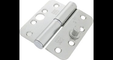 DX Veiligheids- Kogelstiftpaumelle DK Rond Verzinkt 89x89x3mm Din Rechts SKG*** H169D89892125