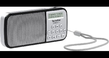 Techniradio RDR DAB+ zakradio - FM - AUX - USB - zaklamp - zilver