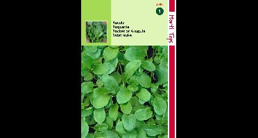 2 stuks - Hortitops - Rucola Coltivata Eruca Vesicaria Sativa
