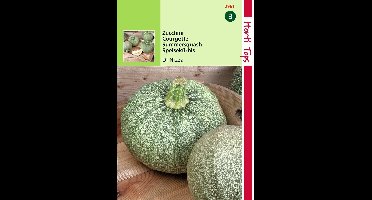 2 stuks Hortitops Courgette De Nice A Fruit Rond