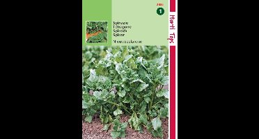 2 stuks Hortitops Spinazie Nieuwzeelandse