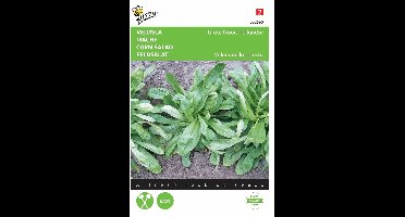 2 stuks - Buzzy - Veldsla Grote Noordhollandse
