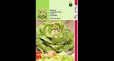 2 stuks - Hortitops - Kropsla Meikoningin