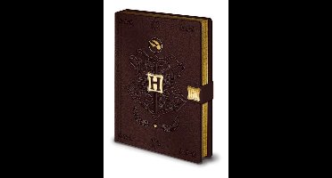 Harry Potter - Quidditch - A5 - Premium Notitieboek - Bruin