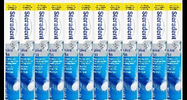 Steradent Kunstgebit Reinigingstabletten - Active Plus - 12 x 30 Tabletten - voordeelverpakking
