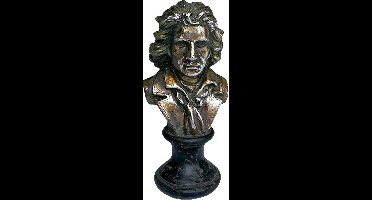 PTMD COLLECTION - BUSTE - BEELD - BRONS/ZILVER