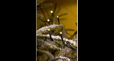konstsmide Micro LED-ketting buiten 200ww LED 3613-140 met sprankelend effect" kerstverlichting