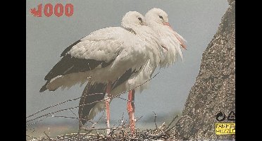 Dieren Puzzel 1000 Stukjes - Ooievaar - Vogels