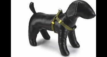 Beeztees nylon borsttuig uni groen 60-100 cm x 25 mm