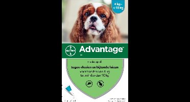 Advantage 100 Hond 4-10 kg - 4 Pipetten à 1,0 ml