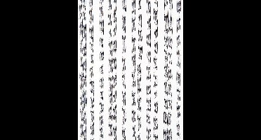 Wicotex - Vliegengordijn - Deurgordijn - Marloes 90x220 cm Transparant - Wit