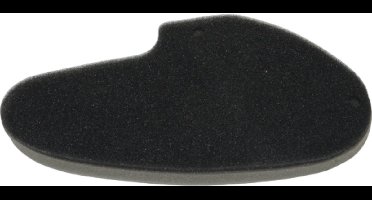 Luchtfilter Element Agm Vx50 / Agm Sp50 / Btc Streetline / China LX / Napoli / RL-50 / Btc Riva