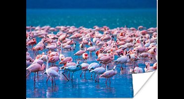 PosterMonkey - Poster - Fotolijst - Dieren - Flamingo - Zwart - Wit - Grijs - Kader - 160x120 cm - Slaapkamer - Poster lijst - Frame poster - Poster flamingo - Poster met frame