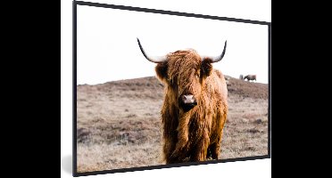 PosterMonkey - Fotolijst - Poster - Dieren - Schotse hooglander - Natuur - Koeien - Poster frame - 60x40 cm - Kader - Poster natuur - Foto met lijst - Woondecoratie - Poster Schotse hooglander