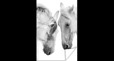 Poster Paard - Dieren - Portret - Wit - 20x30 cm