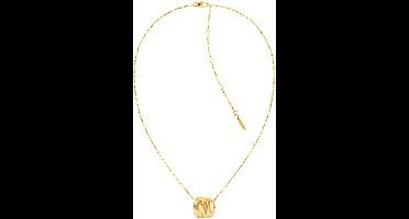 Calvin Klein CJ35000639 Dames Ketting - Collier - Sieraad - Ketting met hanger - Fantasie - Staal - Goudkleurig - Anker - 20 mm breed - 55 cm lang