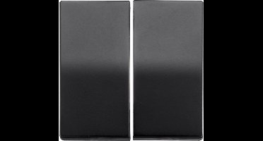 ION | Bedieningswip Serieschakelaar | Mat Zwart - V1/J1 serie