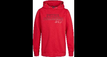 Petrol Industries - Jongens Artwork hoodie Wenatchee - Rood - Maat 116