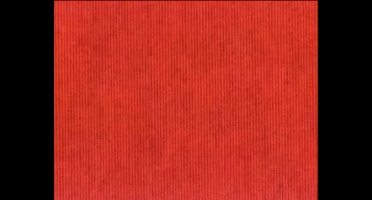 Dessin 99 30cm * 200m