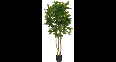 Mica Decorations Vingerplant Kunstplant in Bloempot - H150 x Ø70 cm - Groen