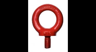 DSIT Hijsoog M8 - 4 stuks