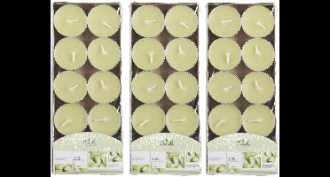 Arti Casa Geurtheelichtjes - 30x stuks - meloen - lichtgroen - was - 3,5 uur