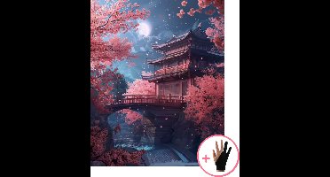 HobbyMania Schilderen Op Nummer Volwassenen - Tempelbrug bij Maanlicht en Sakura - Inclusief Verf Penselen en Tekenhandschoen - Kleuren Op Nummer - Paint By Number Volwassenen - 40x50 cm