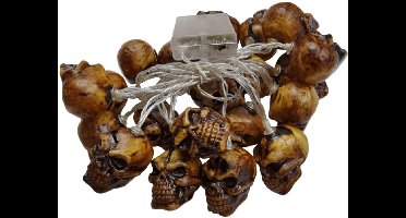 Halloween Lantaarns Decoratie- Halloween met Licht - Decoratie Buiten - Accesoires – Waterdicht Lampjes - Instelbaar Lichtjes / Schedel Lamp - 3M 20 LED Sets