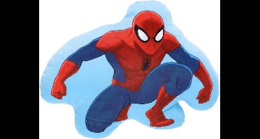 Spiderman sierkussen gevormd