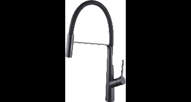 Sanifun keukenmengkraan Nero 2