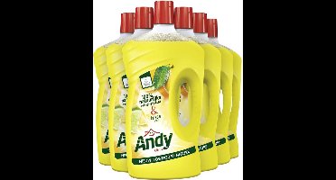 Andy Allesreiniger Citrus - 6 x 1L - 100% hygiëne Voordeelverpakking