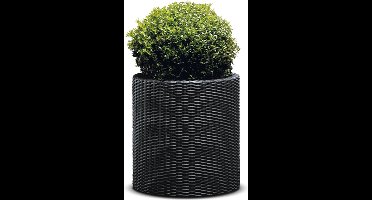 Keter Cilinder - Decoratieve bloempot - 36x36x37.3cm - antraciet