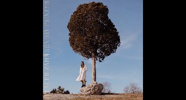 Spencer Zahn - Sunday Painter (LP) (Limited Edition)