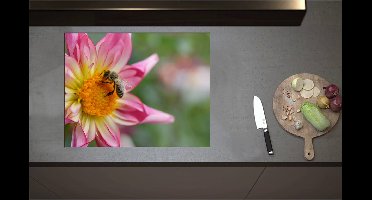 Inductieplaat Beschermer - Bij op Midden van Roze Dahlia Bloem - 70x55 cm - 2 mm Dik - Inductie Beschermer - Bescherming Inductiekookplaat - Kookplaat Beschermer van Zwart Vinyl