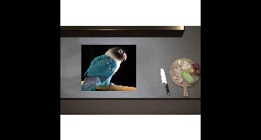 Inductieplaat Beschermer - Blauw met Wit en Zwart Gekleurde Vogel op Standaard - 59x50 cm - 2 mm Dik - Inductie Beschermer - Bescherming Inductiekookplaat - Kookplaat Beschermer van Zwart Vinyl